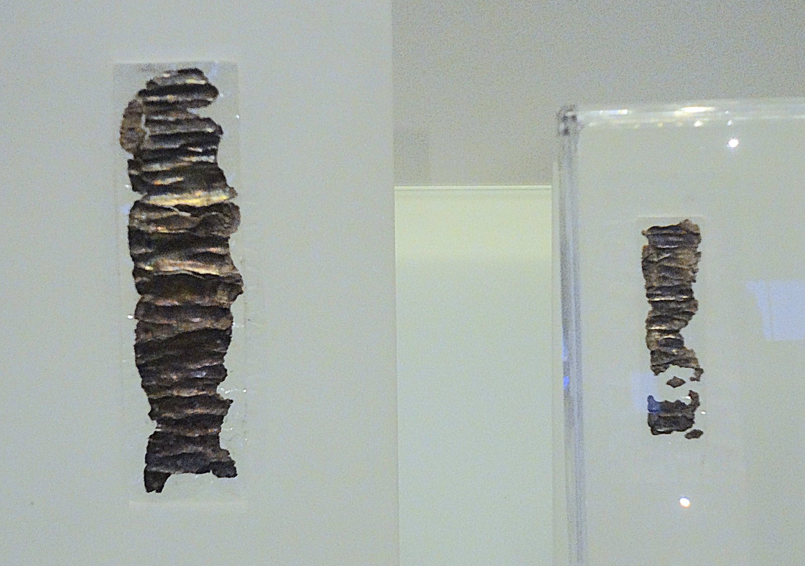Two small rolled silver scrolls from Ketef Hinnom in a museum case.
